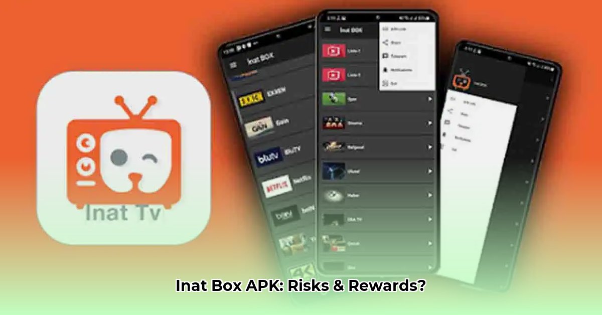inat-box-apk-indir-2024